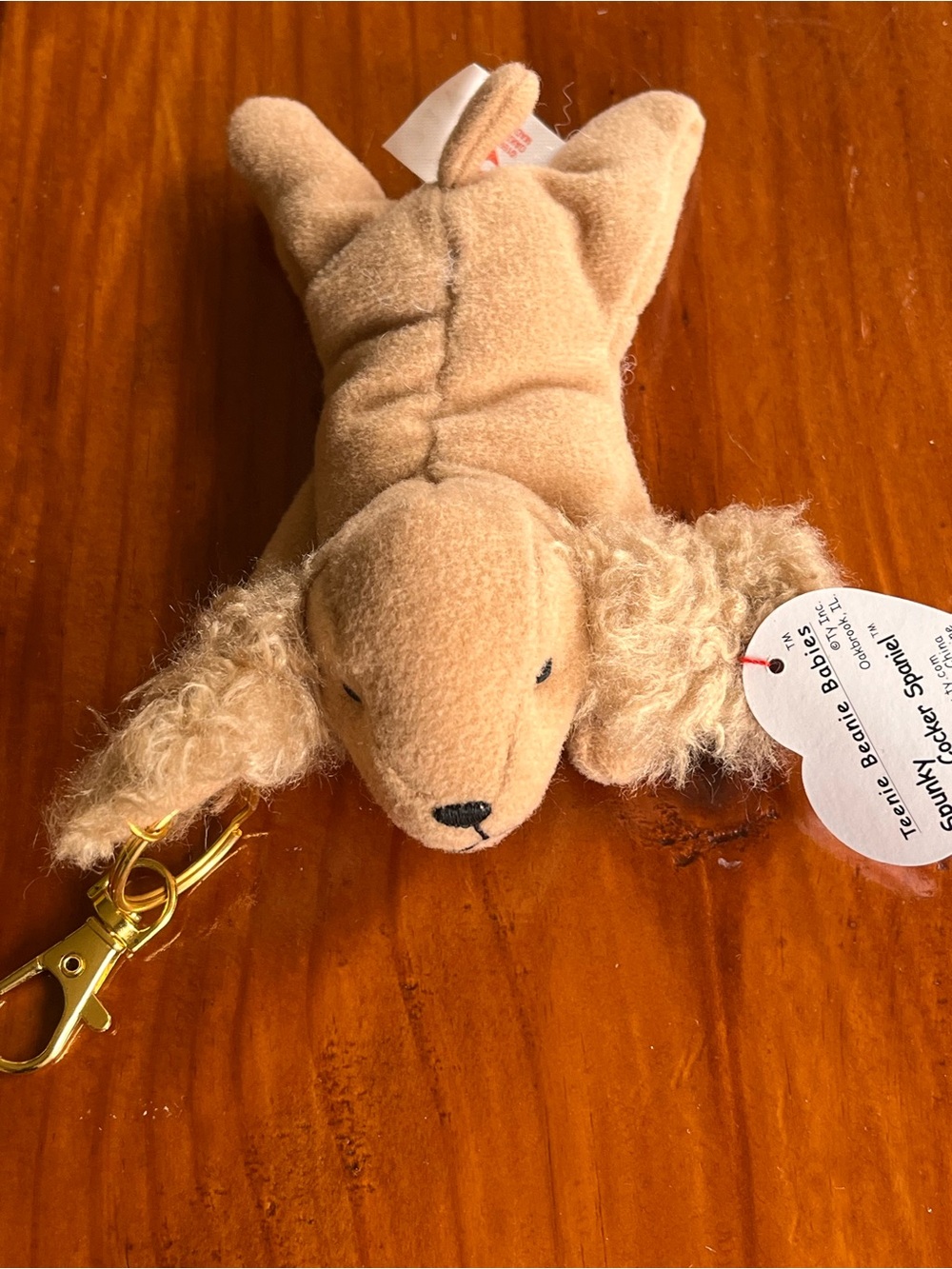 SPUNKY the COCKER SPANIEL Teenie Beanie Baby NWT Key/Purse/Backpack Charm